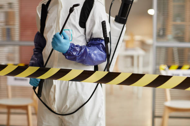 Professional Sewage Cleanup technician working in Sagaponack, NY